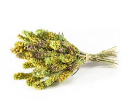 Tè greco di montagna biologico