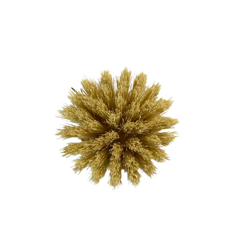 Interchangeable head for reusable bamboo dishwashing brush