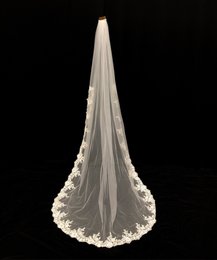 Cathedral Length Bridal Veil-Lace Edging