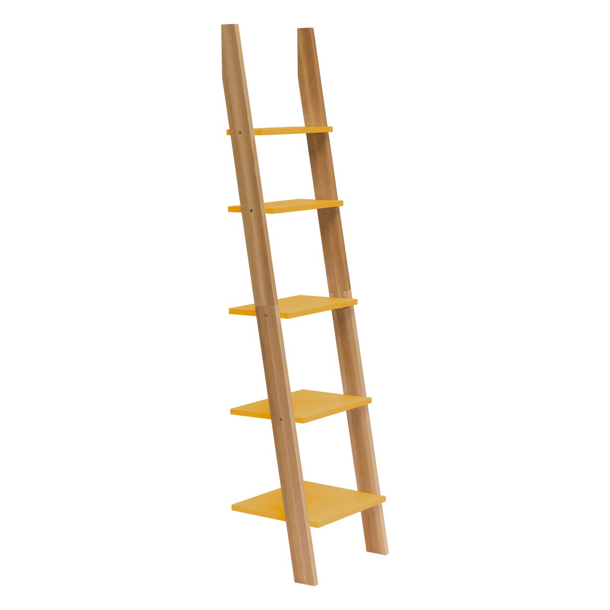 ASHME Laddershelf