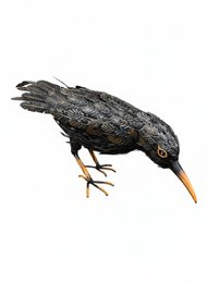 Corbeau de fer, 67x21x929cm, 1,5kg