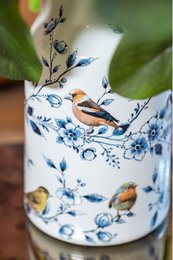 Vaas Melkbus bosvogels