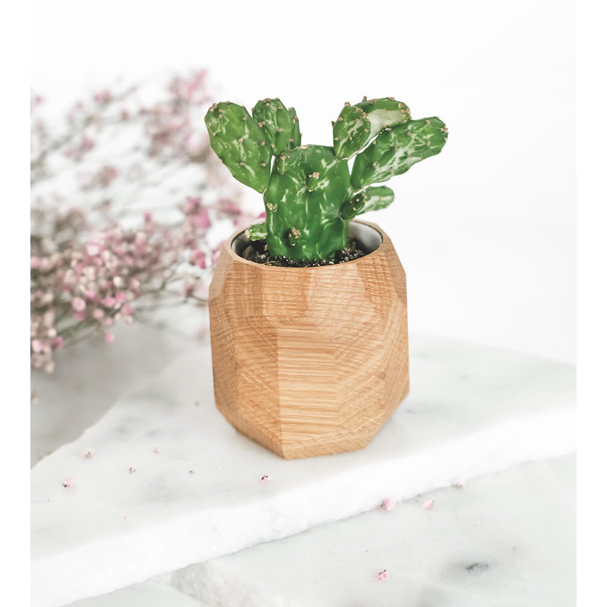 Geometrisk plantekasse