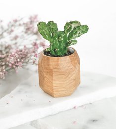 Geometrisk plantekasse