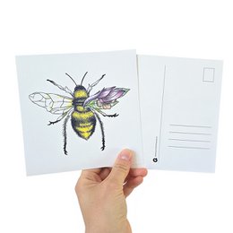Kaart bij kleur zonder envelop