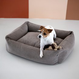 TUDOR CLASSIC HUNDEBETT