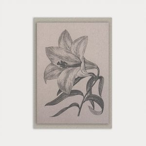Karte mit Umschlag / Lilie / Premium Gmund Papier