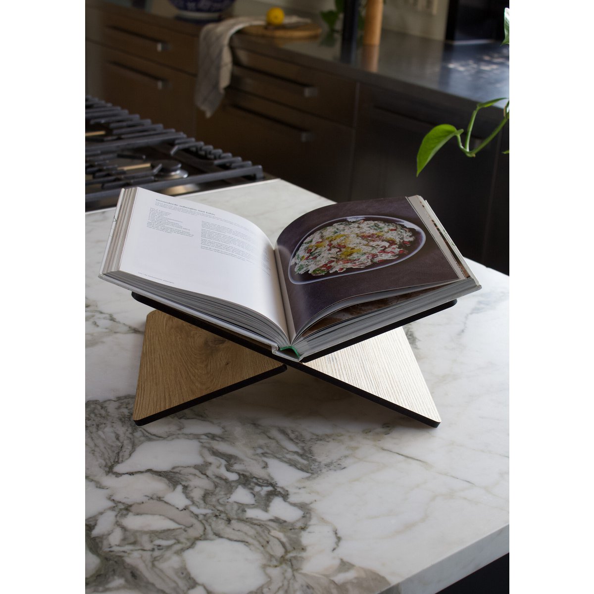 X-Books Standard-Eiche