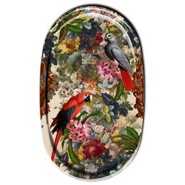 TACKA 55X33CM PAPUGI