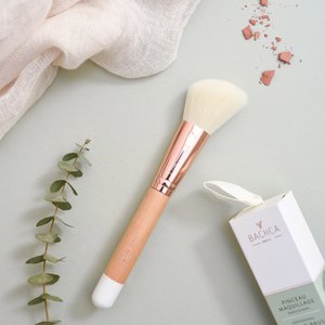 Blush brush