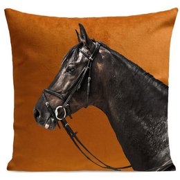 A decorative cushion featuring a close-up image of a black horse's head against an orange background. The cushion is suitable for use in a variety of home decor settings.