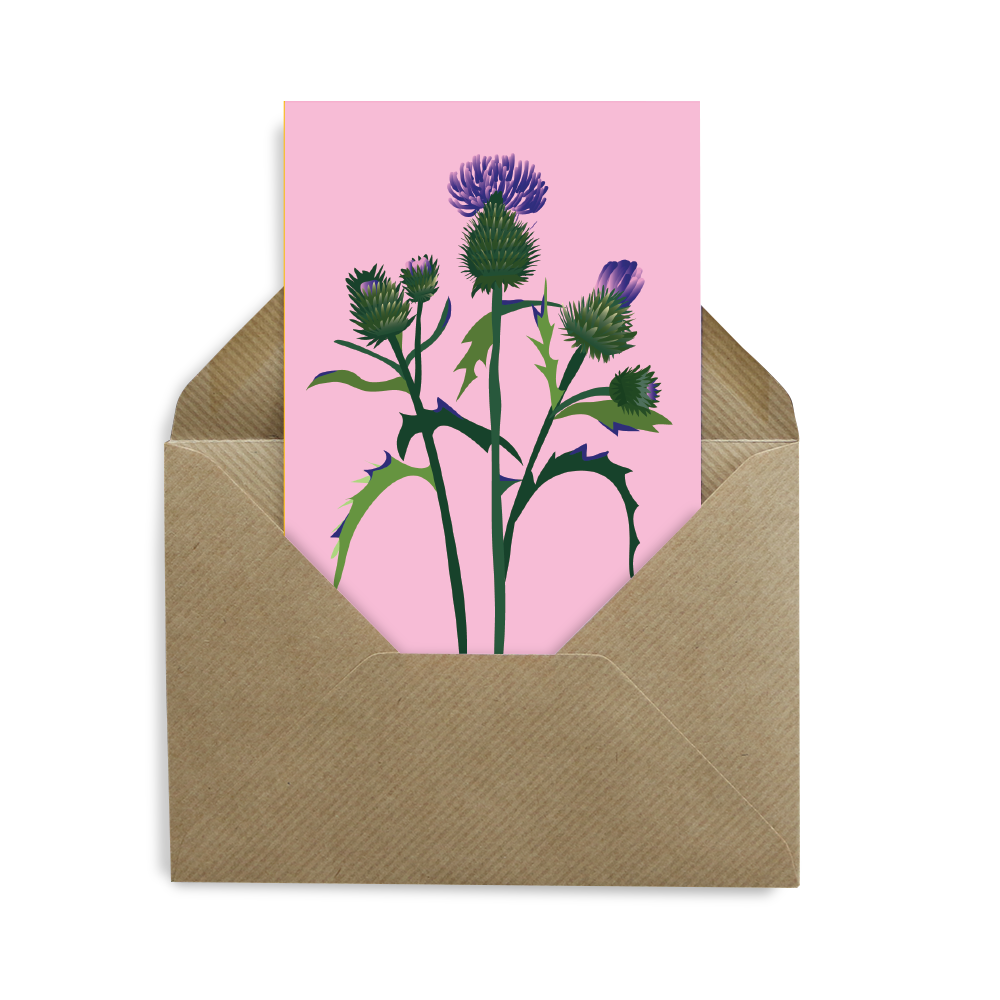 Pocztówka Botaniczna - Oset