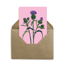 Botanisk postkort - Thistle