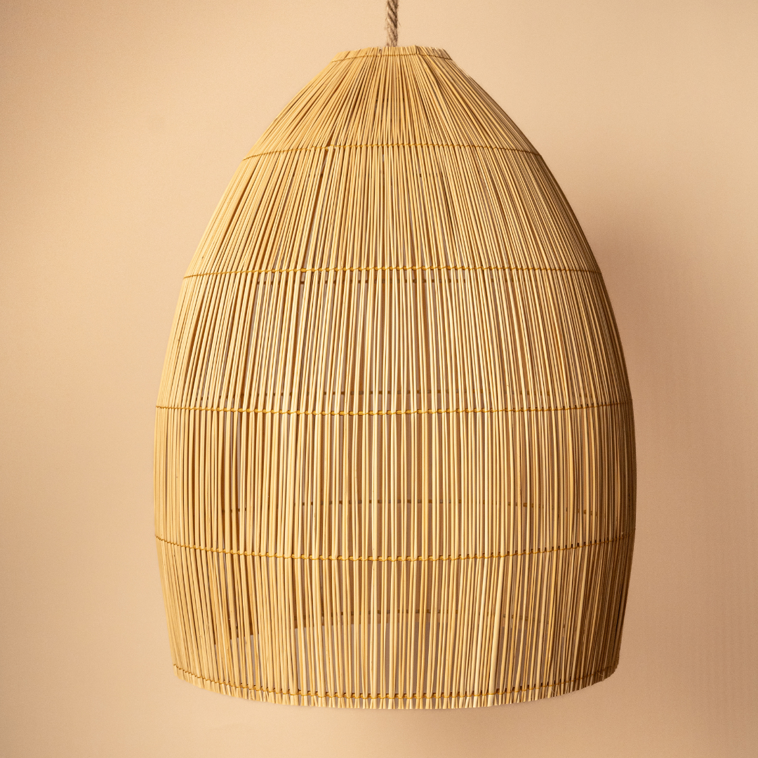 Lampada a sospensione di alghe - The Lalou - L