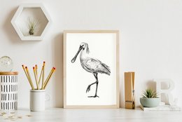 A black and white sketch of a spoonbill bird, a type of wading bird with a long, flat bill. The poster is suitable for wall art in a nature-inspired or minimalist home decor style.