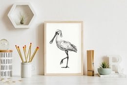 A black and white sketch of a spoonbill bird, a type of wading bird with a long, flat bill. The poster is suitable for wall art in a nature-inspired or minimalist home decor style.