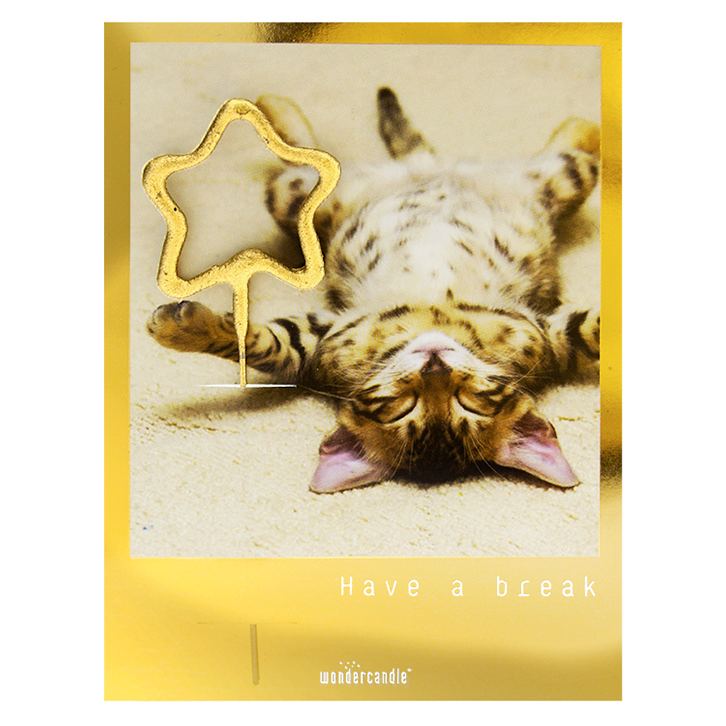 Golden Polaroid Sortiment Mini Wondercard