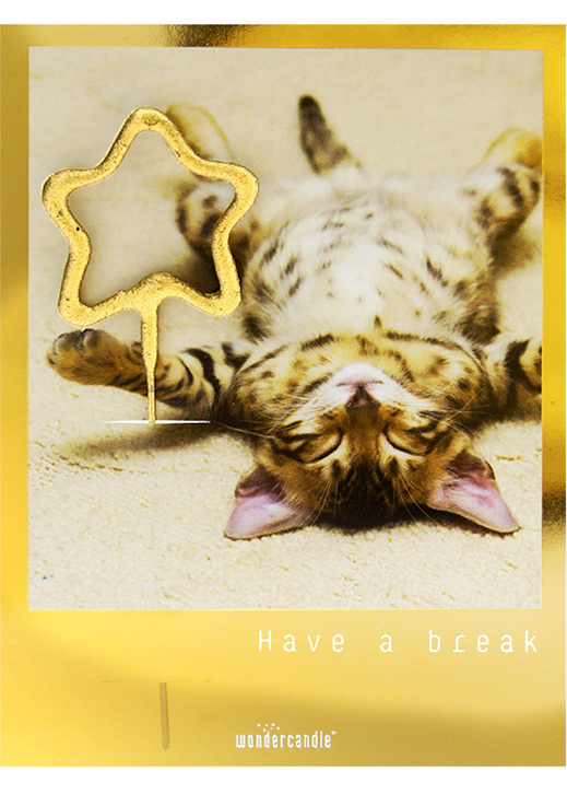 Golden Polaroid Sortiment Mini Wondercard