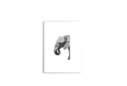 elefant
