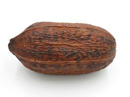 Kakaobohnen – 100 % natürlich und getrocknet