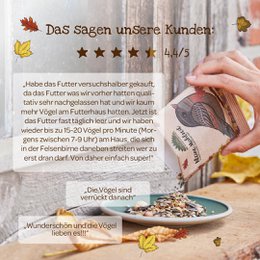Kleine Mahlzeit Vögel