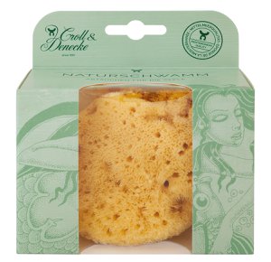 Baby natural sponge in gift box, small