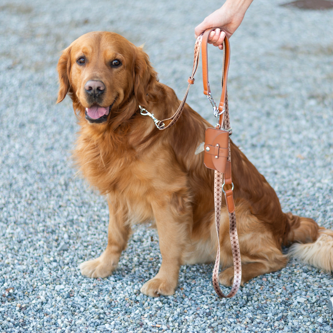 Multifunction leash - Timeless Mocha