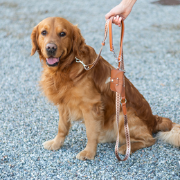 Multifunction leash - Timeless Mocha