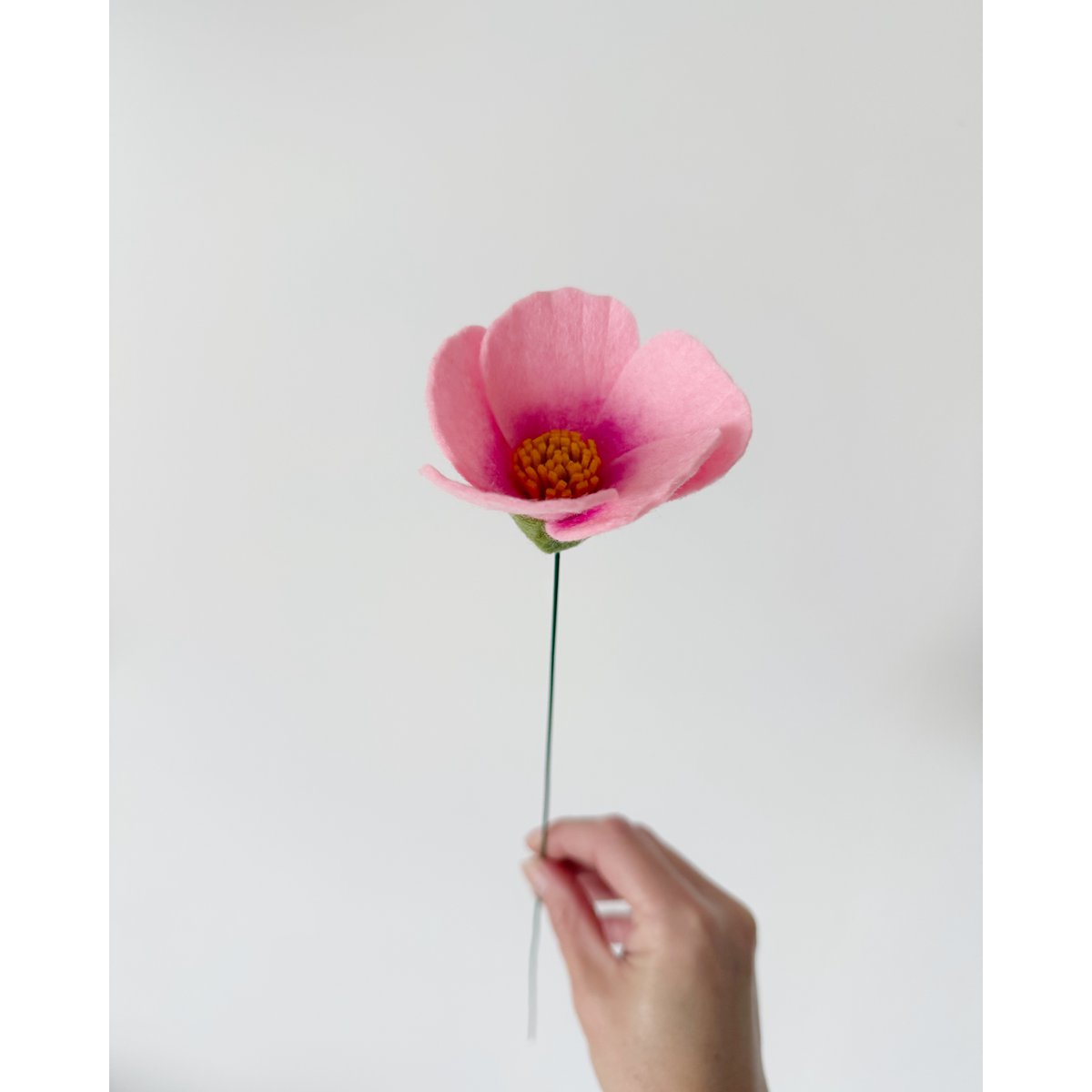 Feltbloem Cosmea Pink