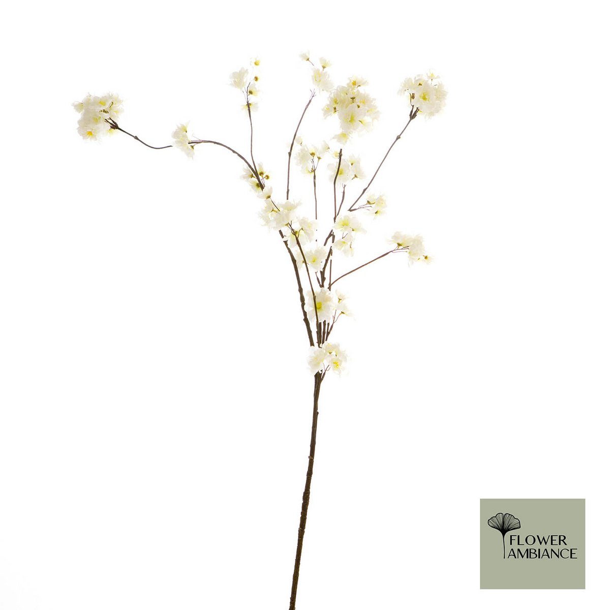FD Prunus Malaga spray white 126cm