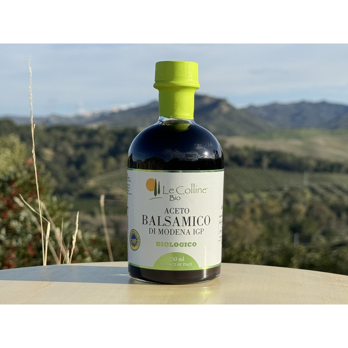 Balsamicoazijn biologisch uit Modena IGP DE-ÖKO 007 | 250 ml