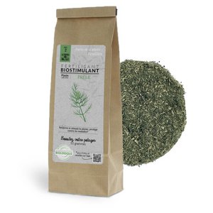 Garden biostimulants - Horsetail