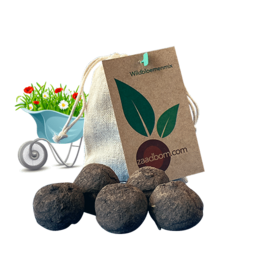 A bag of 5 wild flower seed bombs containing a mix of colorful blooms including blue cornflowers, red poppies, and white daisies.