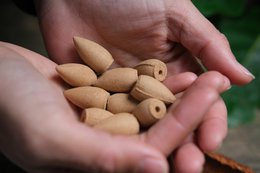 Christmas gift - Agilawood - backflow incense cones