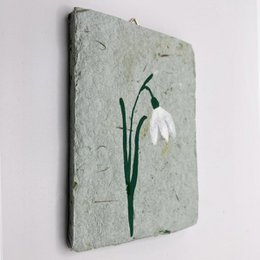 Snowdrop