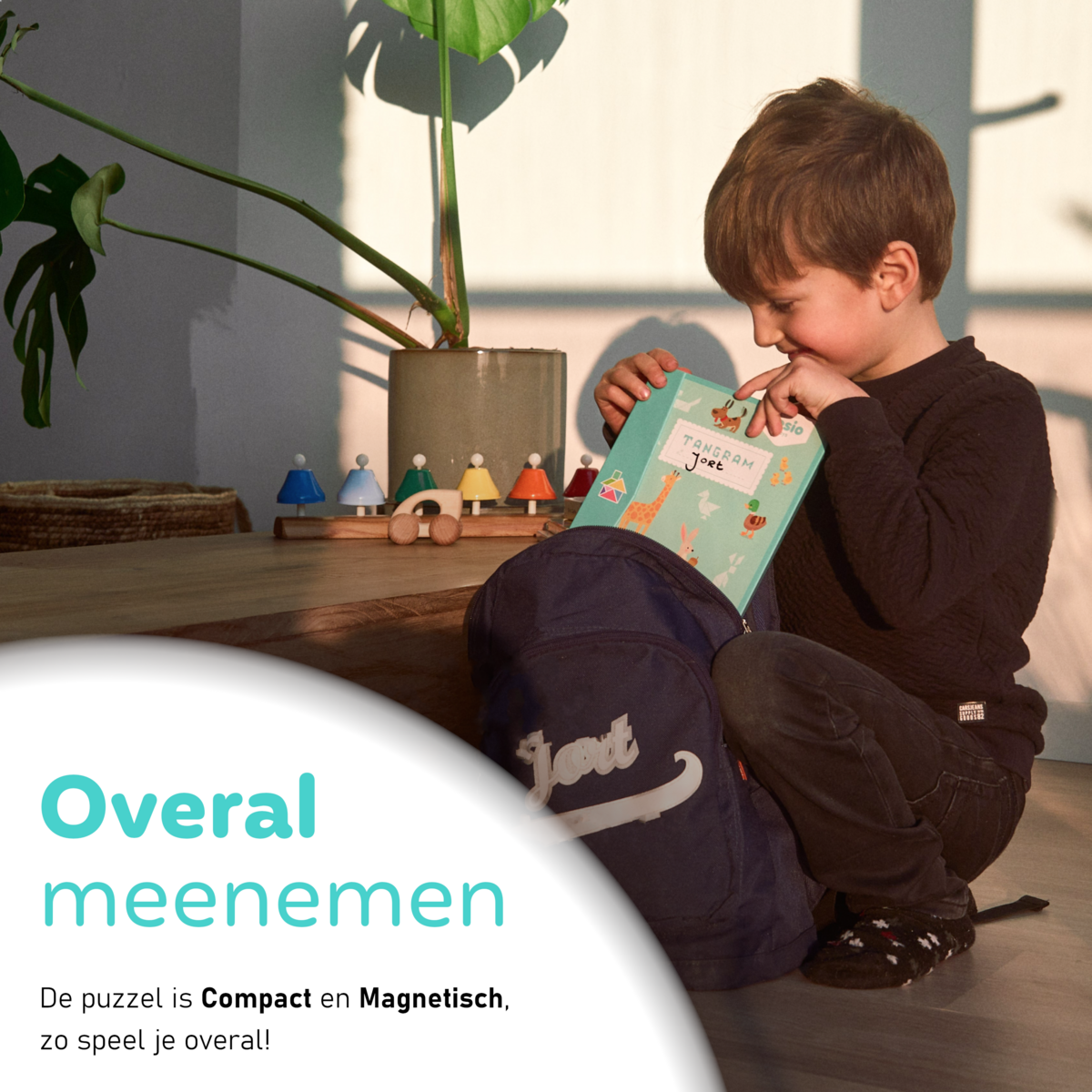 Fesio Tangram Puzzelboek