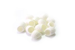BULK 100 units exfoliating cocoons