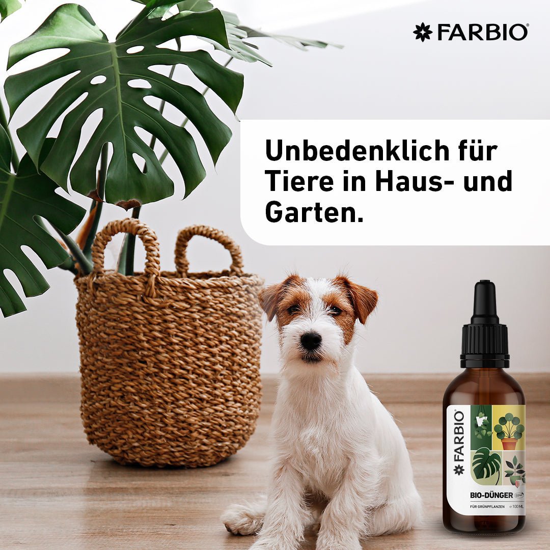 FARBIO® organic liquid fertilizer for green plants | Important nutrients for your plants