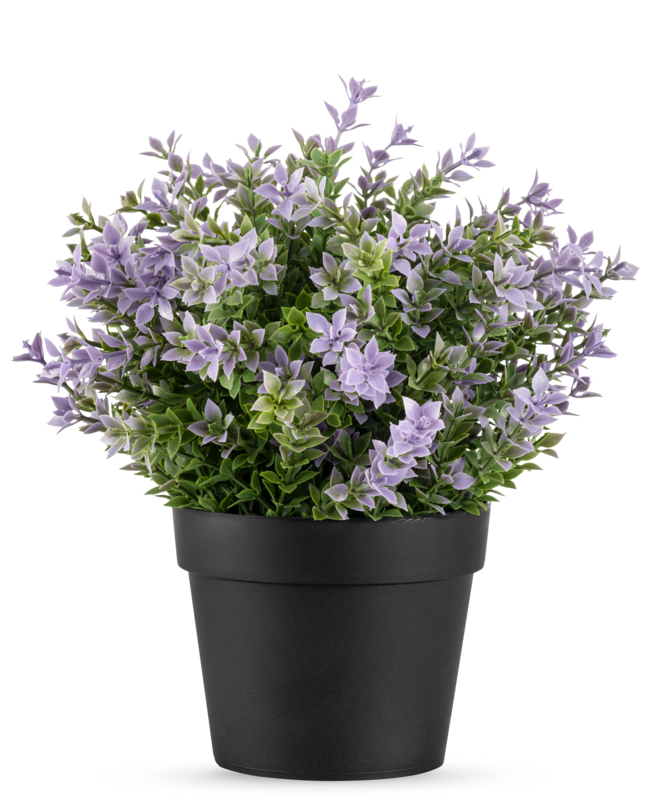 Pianta artificiale Buxus viola UV 22 cm