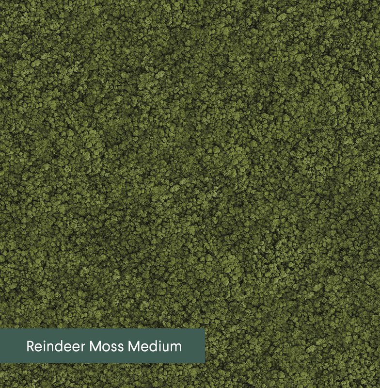 Moony