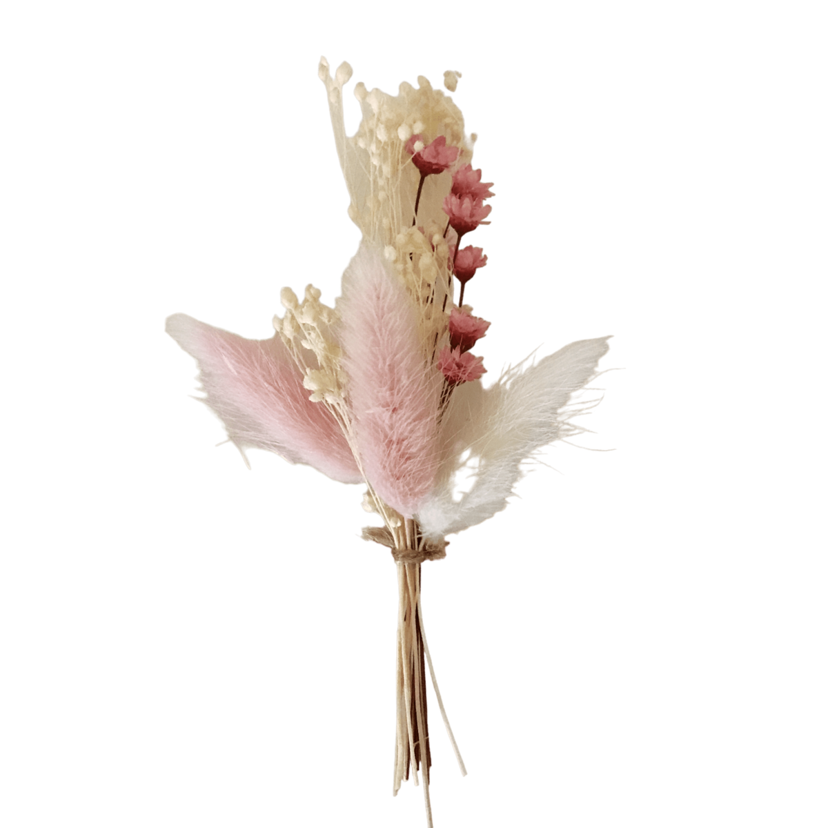Babyroos droogboeket 12cm