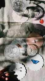 Coasters 10 motiver insekter - 12 sæt