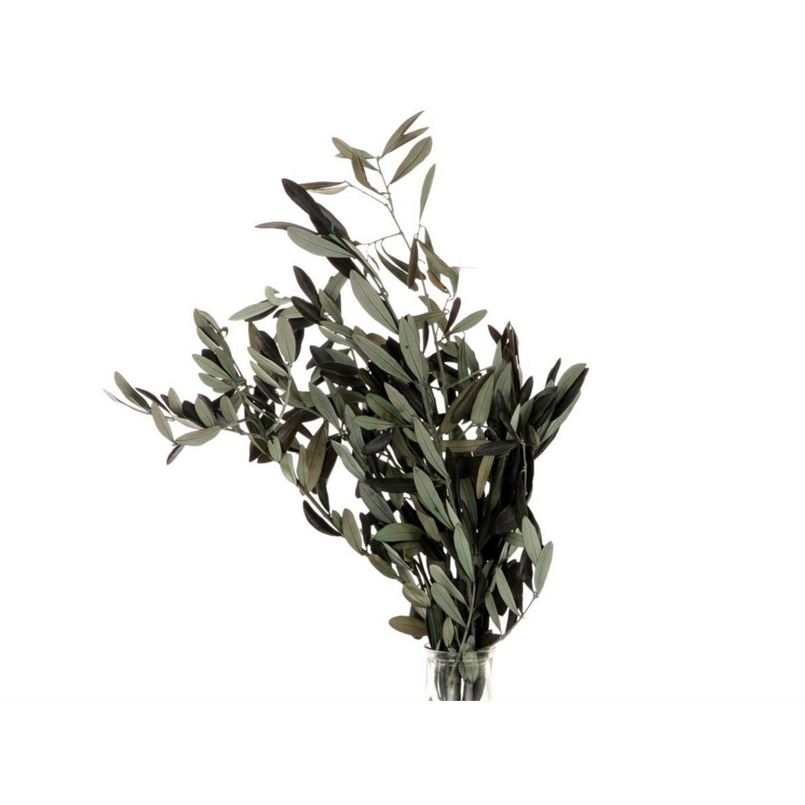 Olivenkonserveret - 50 cm