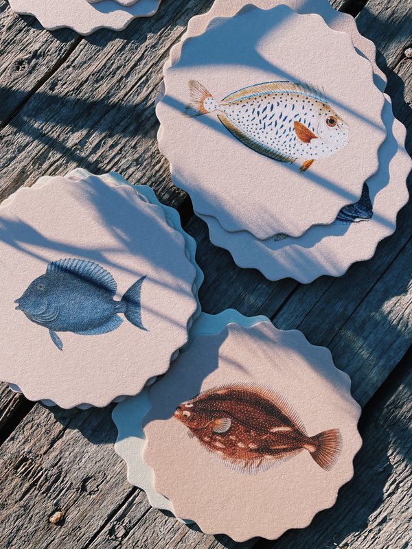 Untersetzer/Coaster 10 Motive Fische - 12 Sets