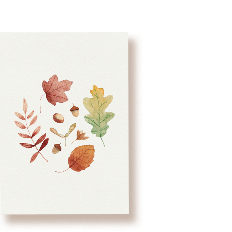 Hallo herfst | ansichtkaart