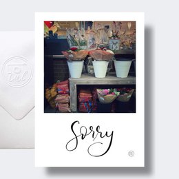 Focal Cards