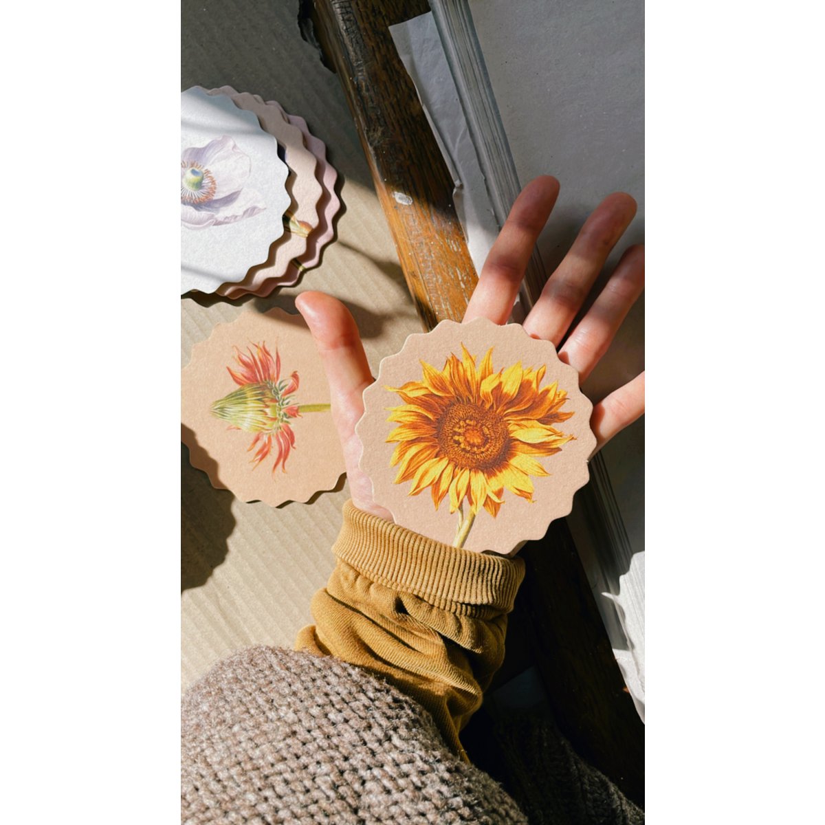 Sous-verres 10 motifs fleurs - 12 sets
