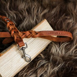 Snoet hundesnor | Brun