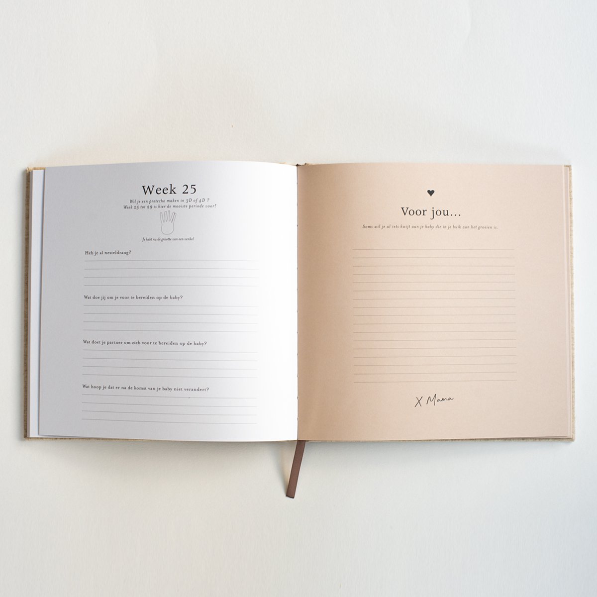 Zwangerschapsinvulboek