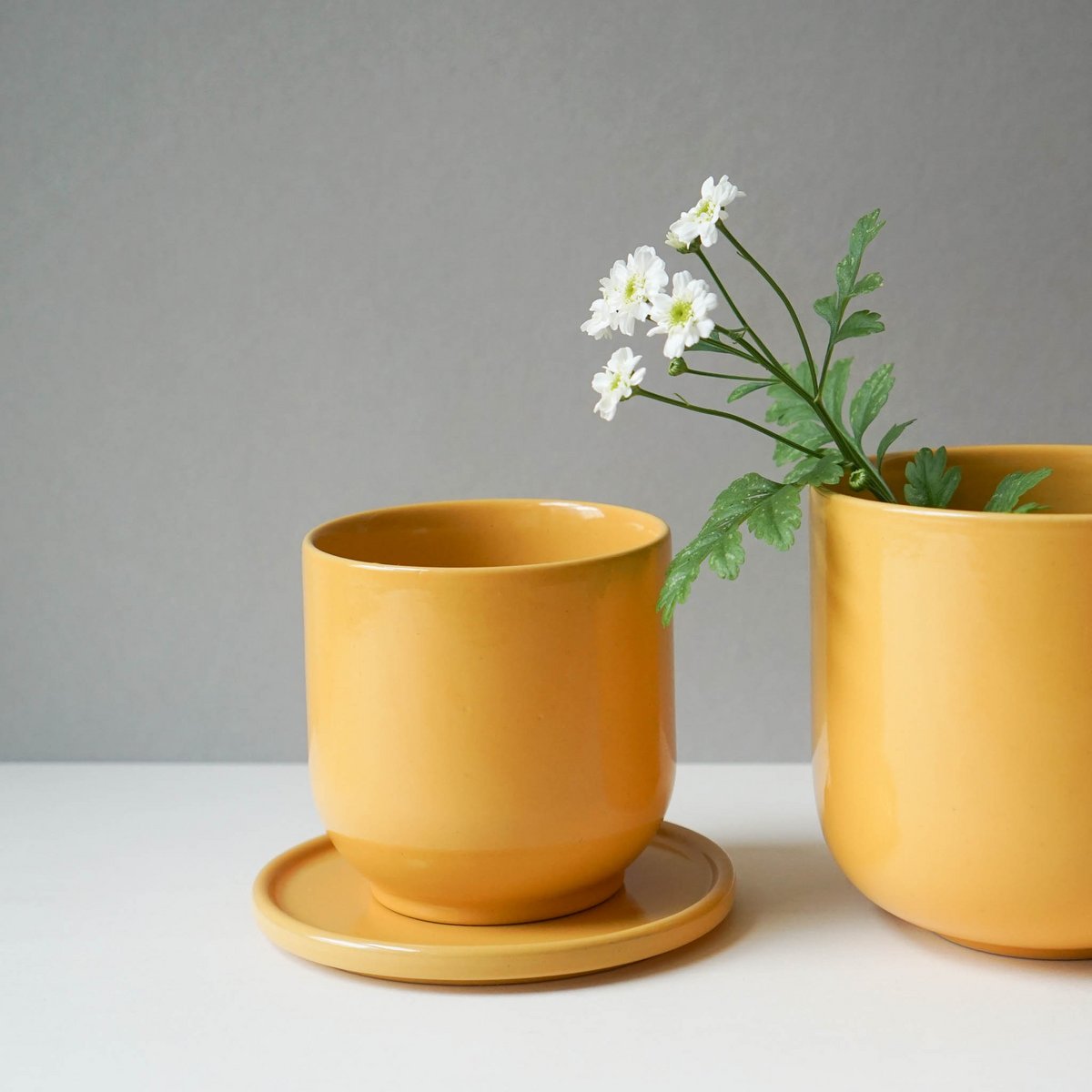 Mug Hollyhock - giallo di fine estate - 200 ml